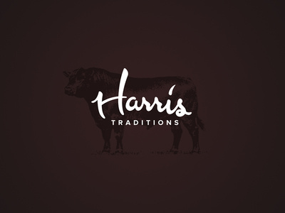 Apparel Brand Design