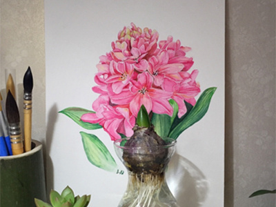 Hyacinthus Orientalis L flower painting