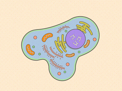 Cell biology cell cellular color flat icon illustrator line micro molecuar molecule stroke