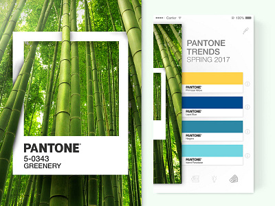 UI Challenge - Pantone Trends