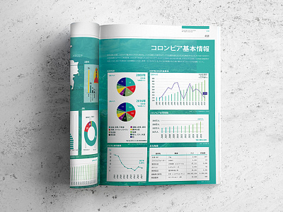 Economy Report - Magazine colombia colors design editorial infographic information japan japanese magazine report