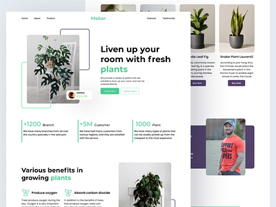 Plant product adobexd branding clean design figma fresh graphic design green plants ui ux ux design web website
