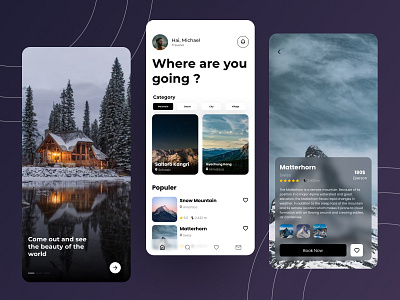 Destination app adobe adobexd app black brainstorming branding clean design elegant figma graphic design illustration mobile mountain prototype simpe travel ui ux web