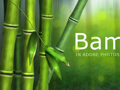 Bamboo bamboo