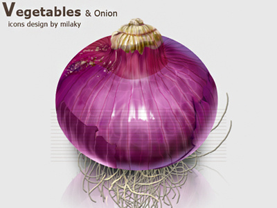 Onion 1 onion