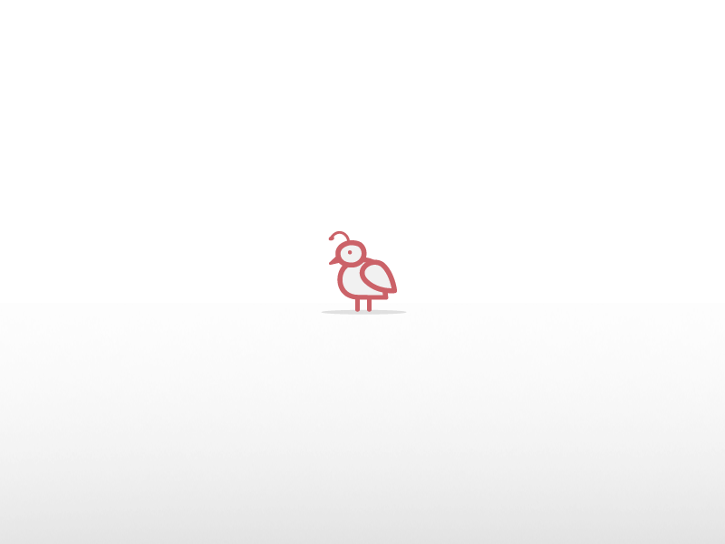 Quail Gif animation bird minimal