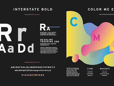 Style Guide cmyk color design poster style guide type typography