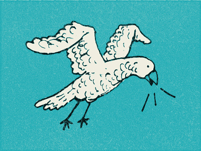 Squawk. bird illustration retro rough teal