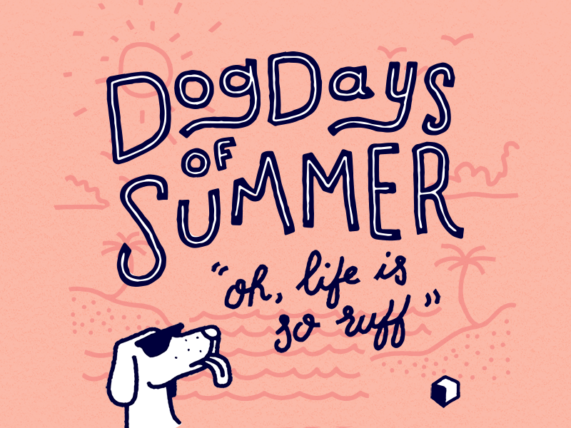 Dog Days of Summer animated design dog hand lettering illustration rough type typography