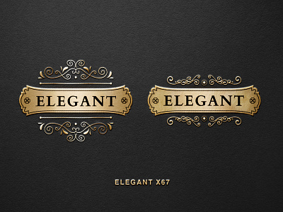 Elegant Logo Design Concept