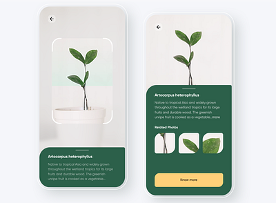 Gardenr - Plant ecommerce app 2d 3d agriculture agritech app biotech clean ecommerce farming garden hydroponics jackfruit minimal plant app planting plantshop succulent typography