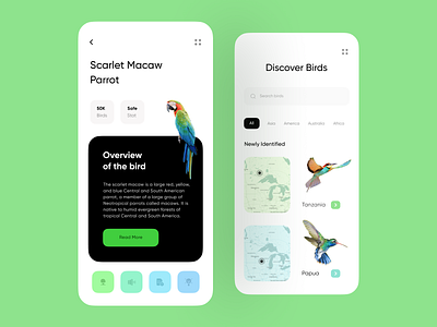 Aves - Birds app animals app design bee eater bird bird app birds conservation donation features page forest life home page humming bird macaw minimal mobile mobile design mobile ui modern ornithology
