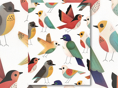 Birds birds geometric illustration illustration art jutastudio minimal pattern robin texture