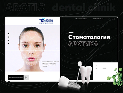 Arctic dental clinik branding design illustration lettering minimal typography ui vector web website