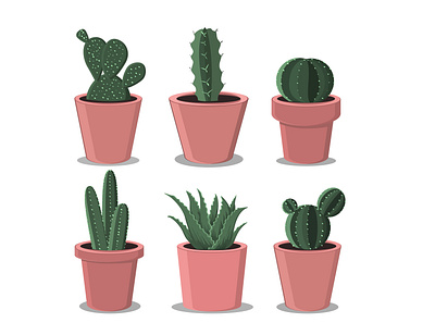 Cactus cactus cactus illustration