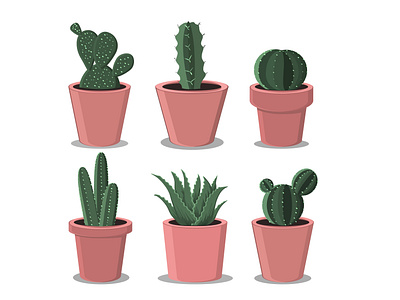 Cactus