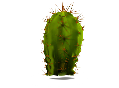 cactus flat illustration vector