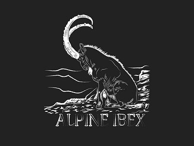 Alpine Ibex Ilustration