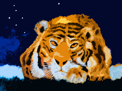 Staring tiger fine art illustration nft pnvsky tiger