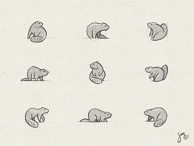 Beaver | Sketches