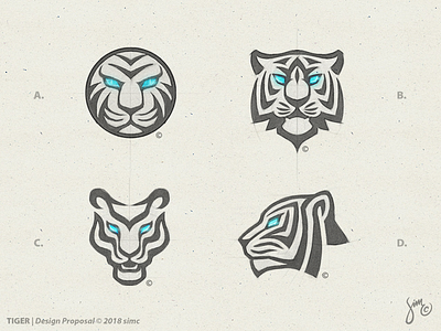 Tiger | Sketches