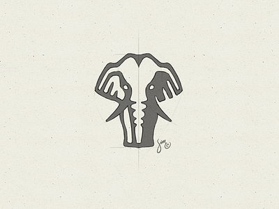 Elephant | Sketch