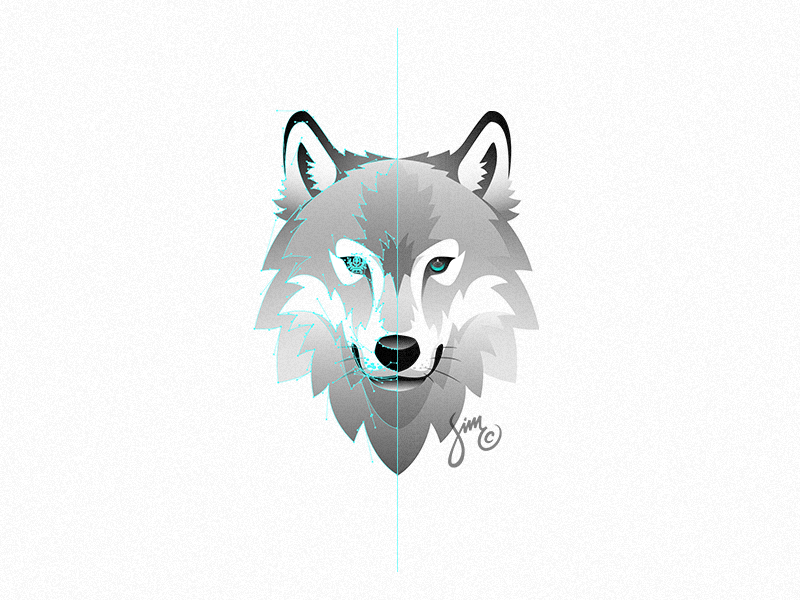 wolf vector png