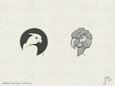 Parrot | Sketches bird bird logo icon logo lowpoly mark nature negativespace parrot polygon sketch