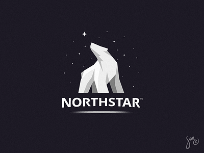 Northstar | Logo Design bear bear logo logo design north sharp stars