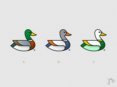Mallard Duck | Logo Design abc animal design apparel bird logo clothing colorful design proposal duck geometric mallard nature variations