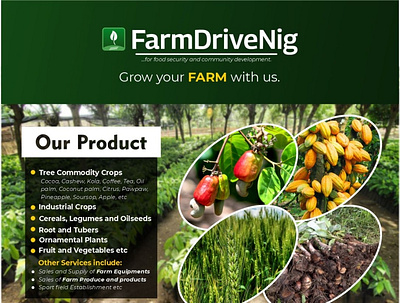 FarmDrive Nigeria branding design graphic design illustration logo
