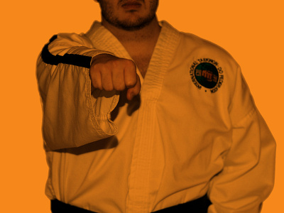 Taekwon-Do Punch Design