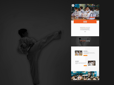 Evolution Tae Kwon Do Branding + Website
