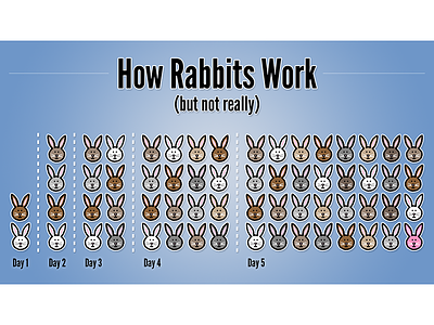 How Rabbits Work bunnies days infographic multiplying rabbits
