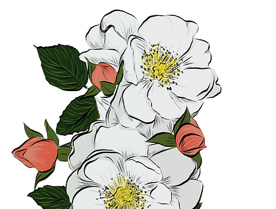 Flower Sketch illustration illustrator vector