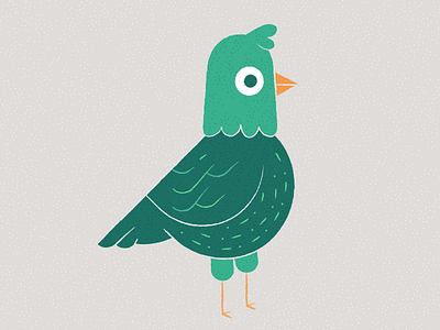 Trash burb bird pigeon