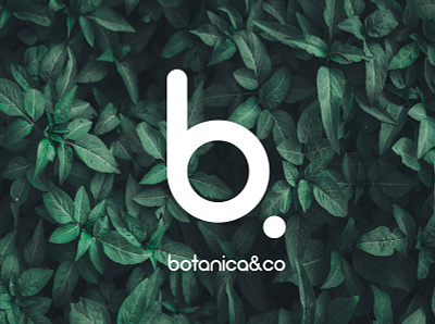 Botanica&Co brand identity branding design graphic design logo logodesign logotype typography
