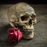 نور الدين سراج