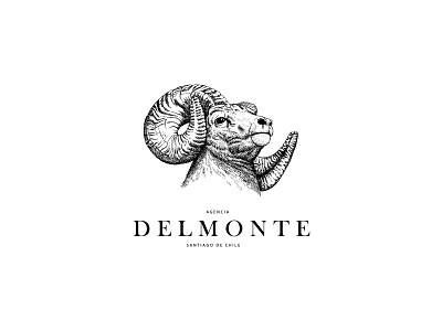 Agencia Delmonte / Logotipo brand branding design illustration logo