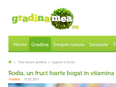 Gradina Mea garden romania web design website