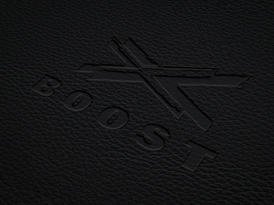 X-BOOST car logo tuning x