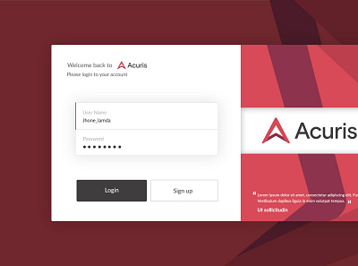 Login panel UX Design graphic design illustration ui ux design