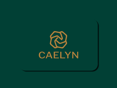 cealyn logo band identity design