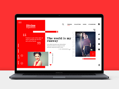 Fashion Blogger Website design ui ux web