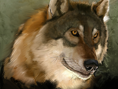 Wolf fine art illustration nature painting wolf