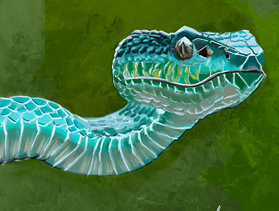 snake illustration