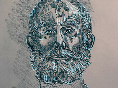 beardy mcbeard face illustration