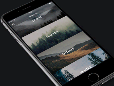 Image view animation animation concept gif image ios iphone transition