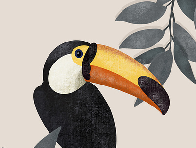 Toucan bird bird illustration digital art digital illustration digital painting jungle toucan tropical