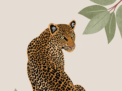 Leopard